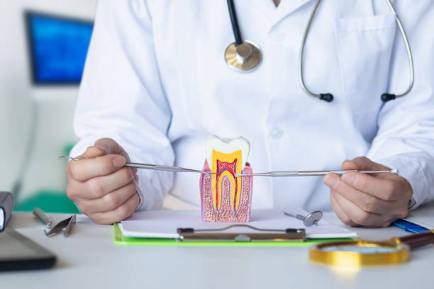 Best Emergency Root Canal Treatment in Level Park Oak Park, MI